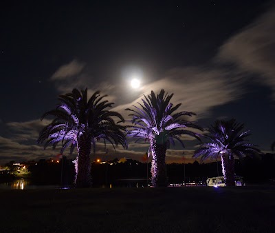 Photos of Raglan Palm Beach Motel
