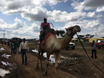 Photos of Samburu Public Campsite 4