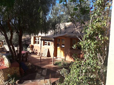 Photos of Dar Isselday