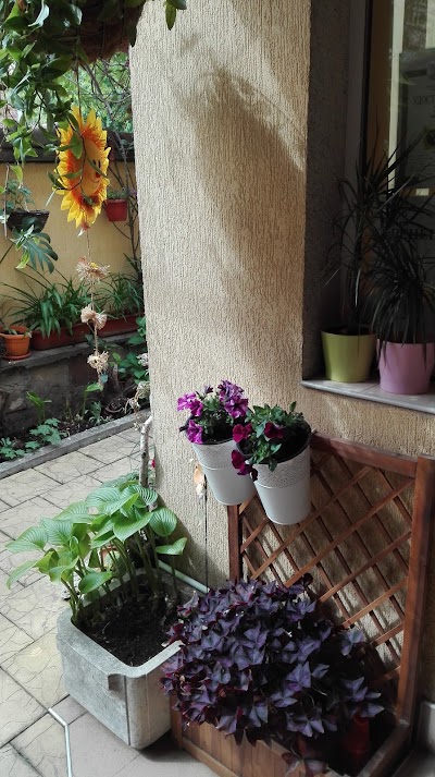 Photos of Hotel &ldquo;Paradise&ldquo;