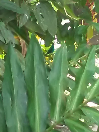 Photos of Centro Ecologico La Ribera