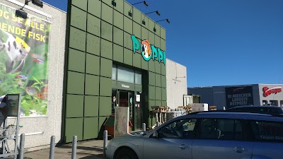 pet-store