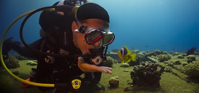 Photos of Diving 2000 A / S