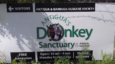 Photos of Antigua's Donkey Santuary Humane Society