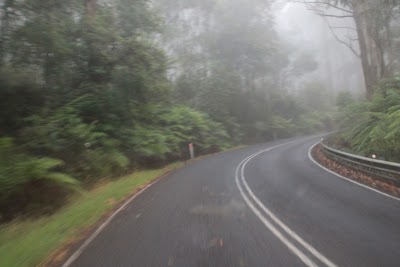 Photos of Big Hill Track