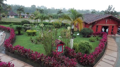 Photos of Tucanes