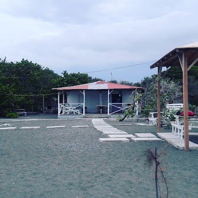 Photos of Beachview restaurant and bar