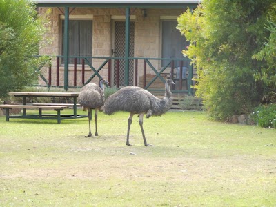 lodging
