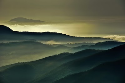 Photos of Kiasar Forest