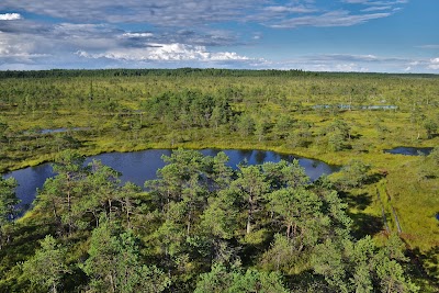 Photos of Kemeri Swamps