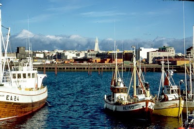 Photos of Reykjavik Excursions