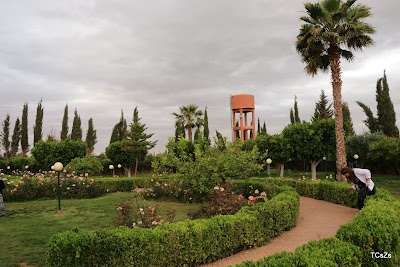 Photos of The rest of Africa Station