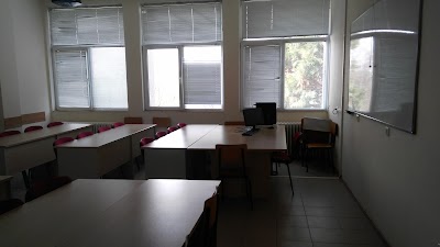 university