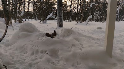 Photos of Saariselk&auml; Ski & Sport Resort Ltd