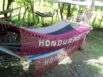 Photos of Travel and Tour Rent A Car HN