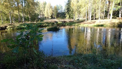 Photos of KIWI Vikersund