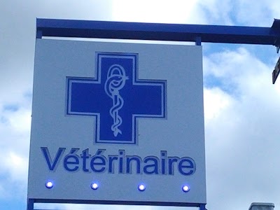 veterinary-care