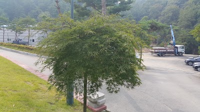 Photos of 용인로뎀파크