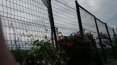 Photos of Evans garden