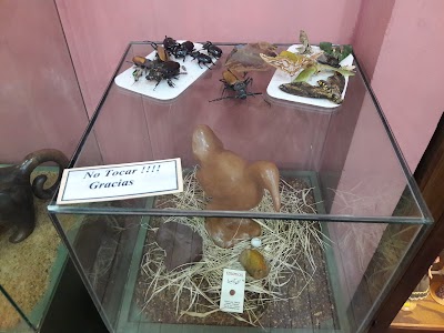 Photos of Museo de la CEEL