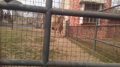 Photos of Jinan Zoological Park