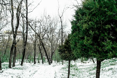 Photos of Artificial Lake