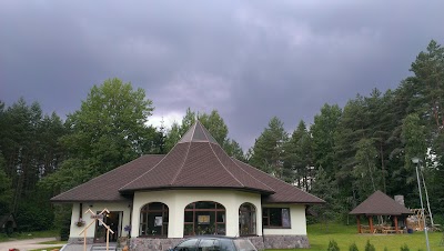 Photos of Pokaiņi Forest