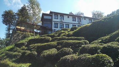 Photos of Phoenix hotel