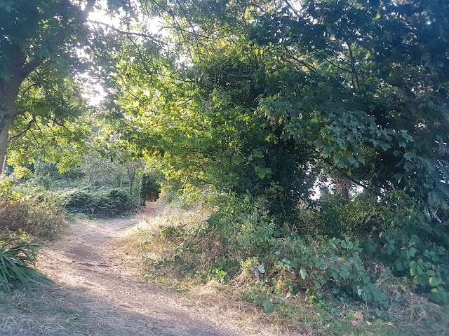 Herne Hill Velodrome
