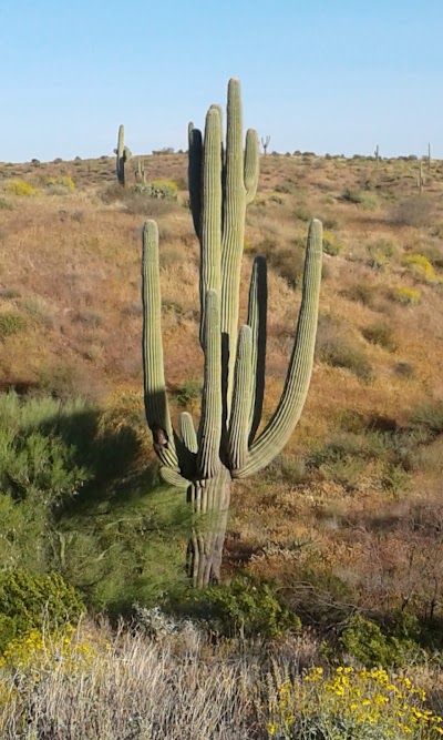 Photos of Peoria Sports Complex