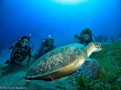 Photos of Black Rock Dive Centre