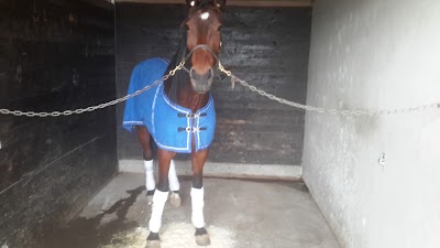 Photos of Jarlsberg travbane