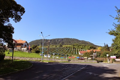 Photos of Balatonguest Kft.