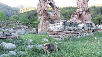 Photos of Еленска Базилика