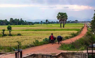 Photos of Kampong Thom Provincial Training Center