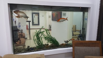 Photos of Royal English Laboratory