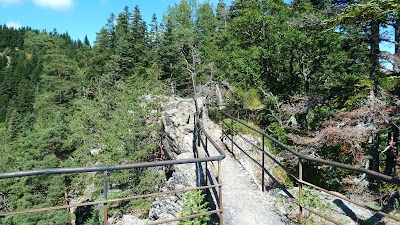 Photos of black rock