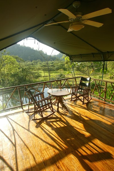 Photos of Rafiki Safari Lodge