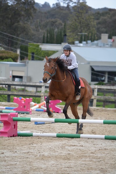 Photos of Tandivale Equestrian Centre & Pony Club