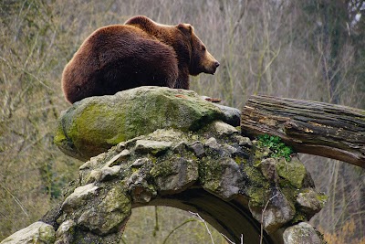Photos of Stadt Haag Zoo