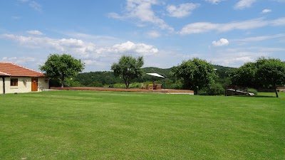 Photos of Alexandrovo Camping