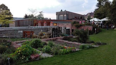 Photos of Selling garden Cerveny Kostelec, Ltd. Trees
