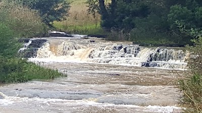Photos of Stoney Brook