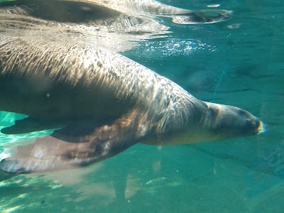 Photos of Fort Wayne Children's Zoo