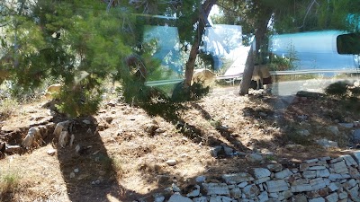 Photos of Colonial on the Beach