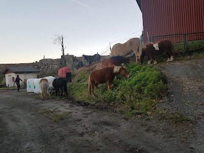 Photos of S&oslash;rlandets Travpark AS
