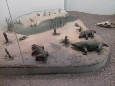 museum