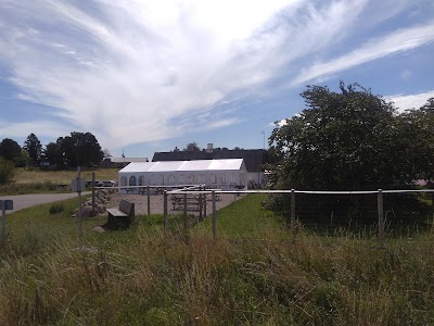 Photos of Or&oslash; camping - og hytteby
