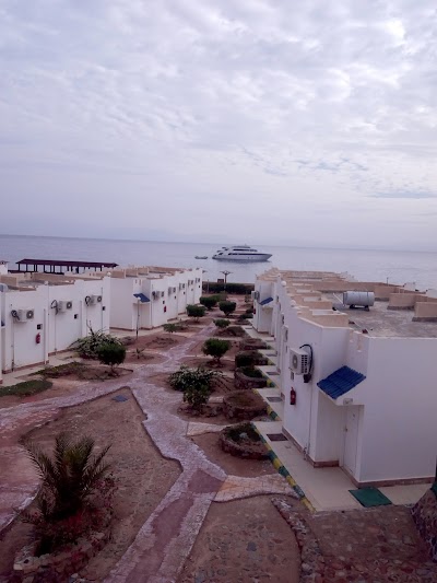 Photos of Amigo hotel dahab