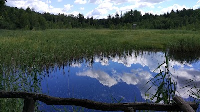 Photos of Jūkainių goemorfologinis draustinis